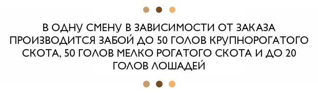 Как все устроено на мясокомбинате «Бакара»